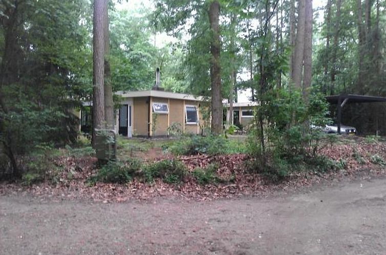 Leuke 4 persoons bungalow op rustige locatie in het bos in