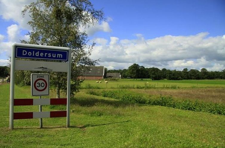 Leuke 4 persoons bungalow op rustige locatie in het bos in