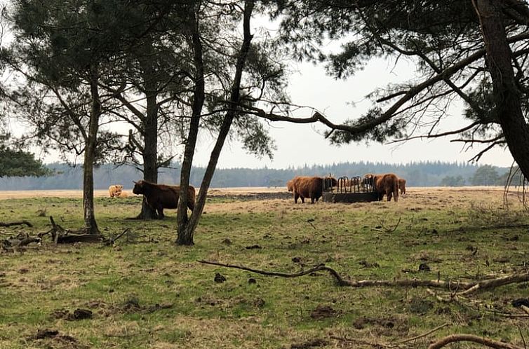 Vakantiehuis in Doldersum