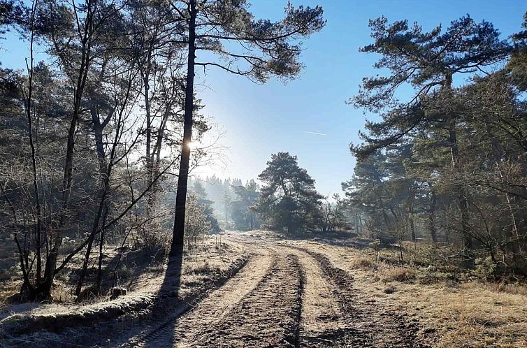 Prachtige 6 persoons vakantievilla met grote tuin aan de