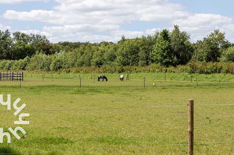 Prachtige 5 pers. chalet met natuurgebied op loopafstand, op