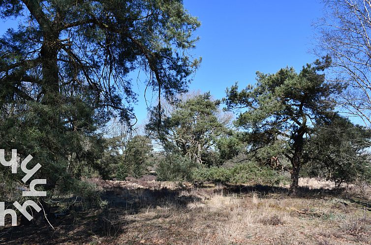 Prachtige 5 pers. chalet met natuurgebied op loopafstand, op