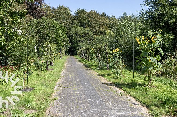 Modern 4 persoons vakantiehuis met riante tuin en terras aan