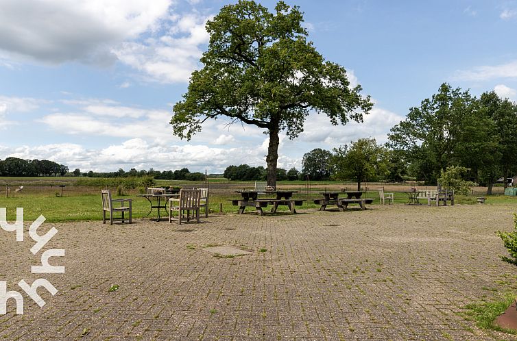 Mooie 14 persoons boerderij in Havelte