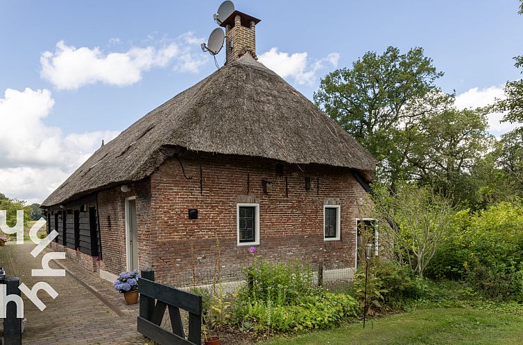 Mooie 14 persoons boerderij in Havelte