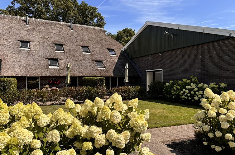 22 persoons groepsaccommodatie in Havelte