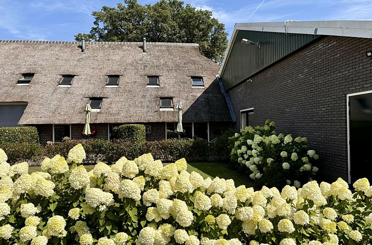 4 persoons appartement in een sfeervolle boerderij in