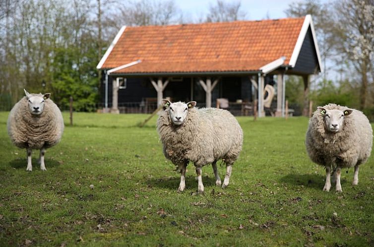 Vakantiehuis in Diever