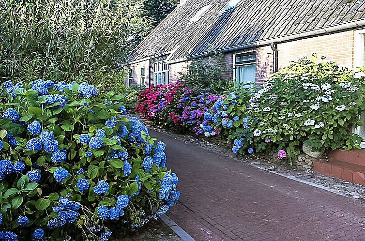 Vakantiehuis Onder De Eiken