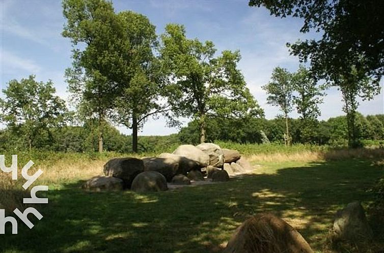 Schitterend 12 persoons vakantiehuis in Diever