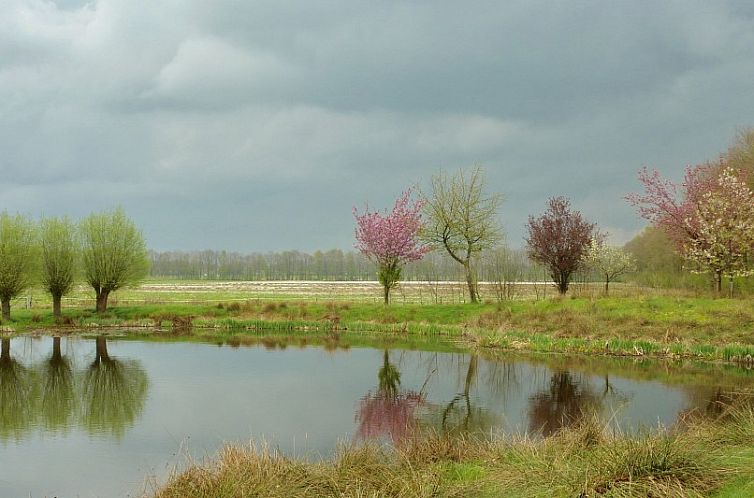 Vakantiehuisjes aan het water