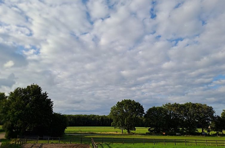 Vakantiehuis in Zuidwolde