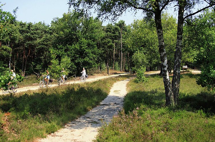 Chalet Vrijzicht