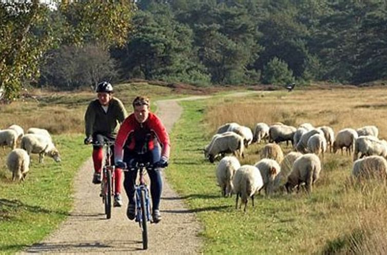 Huisje in Wapserveen