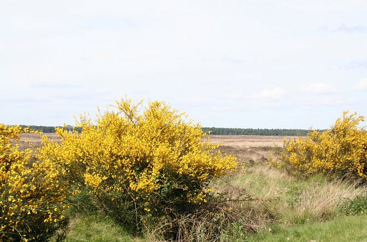 Landhuisje Leda