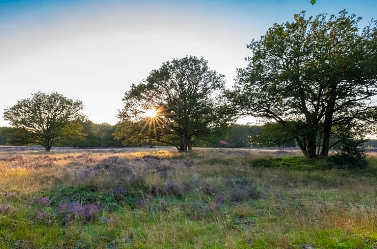 Vakantiehuisje in Dwingeloo