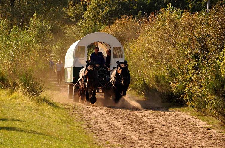 Authentiek Noors vakantiehuis voor 7 personen aan 't