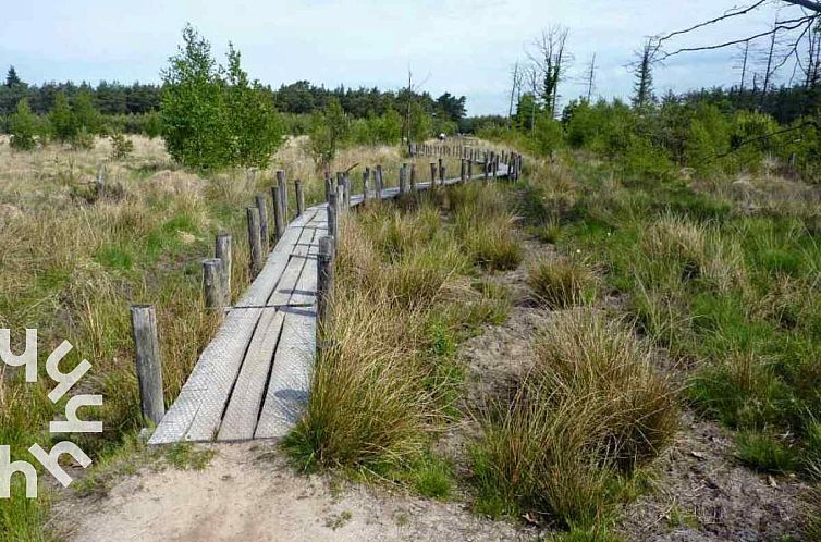 Heerlijk 2 persoons chalet midden in de natuur van Dwingeloo