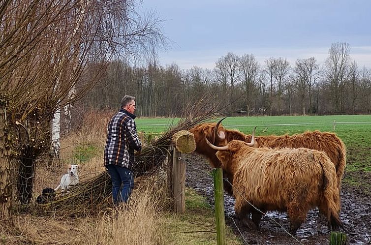 Huisje in Dwingeloo