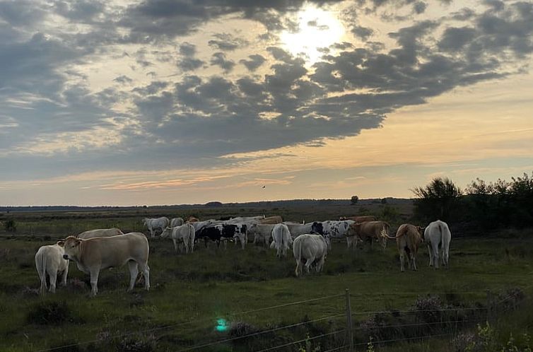 Huisje in Dwingeloo