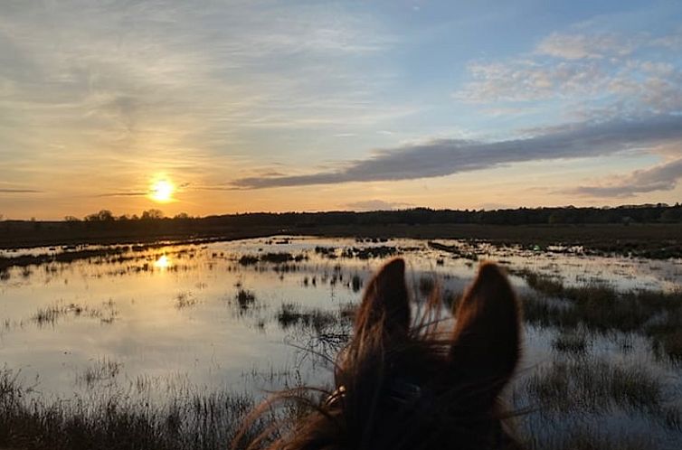 Huisje in Dwingeloo