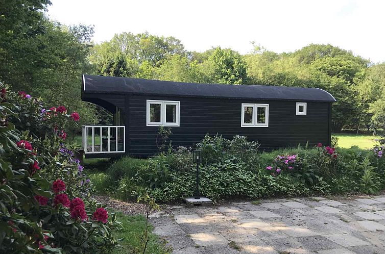 Gezellig chalet voor 2 personen nabij het bos in Dwingeloo,