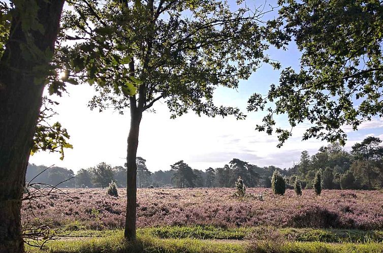 Gezellig chalet voor 2 personen nabij het bos in Dwingeloo,