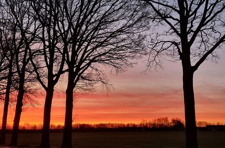 Vakantiehuisje in Dwingeloo