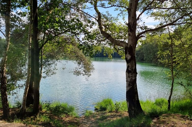 Vakantiehuisje in Dwingeloo