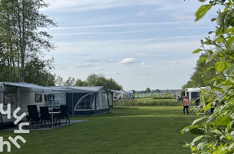 Idylische 4 persoons Drentse Plaggenhut naast een wijngaard