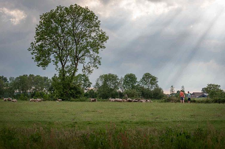 Knusse 4 persoons Lodges op een unieke locatie nabij