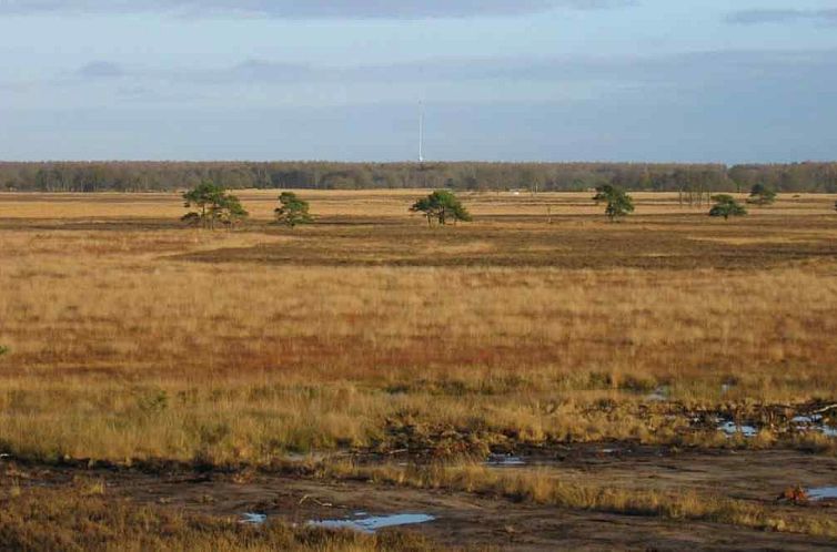 Mooie 4 persoons vakantiewoning midden in het bos