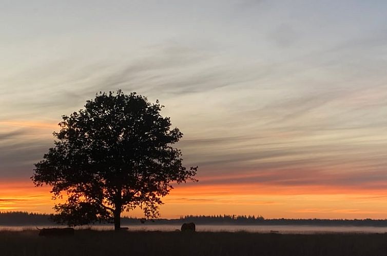 Vakantiehuisje in Vledder