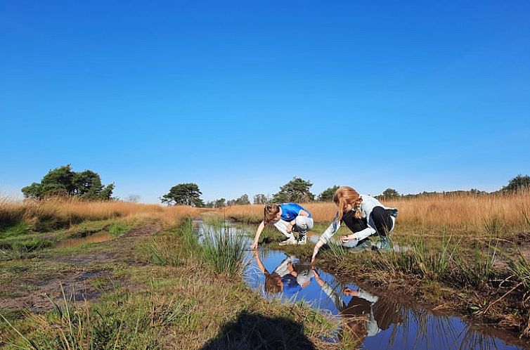 Vakantiehuisje in Vledder