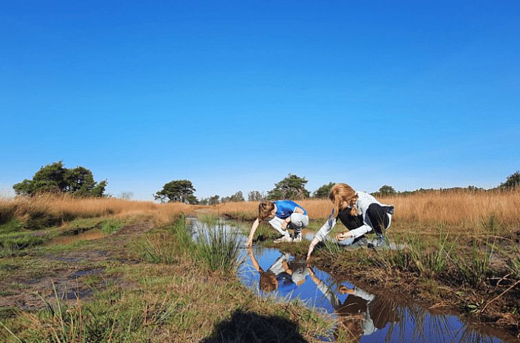 Huisje in Vledder