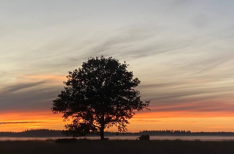 Huisje in Vledder