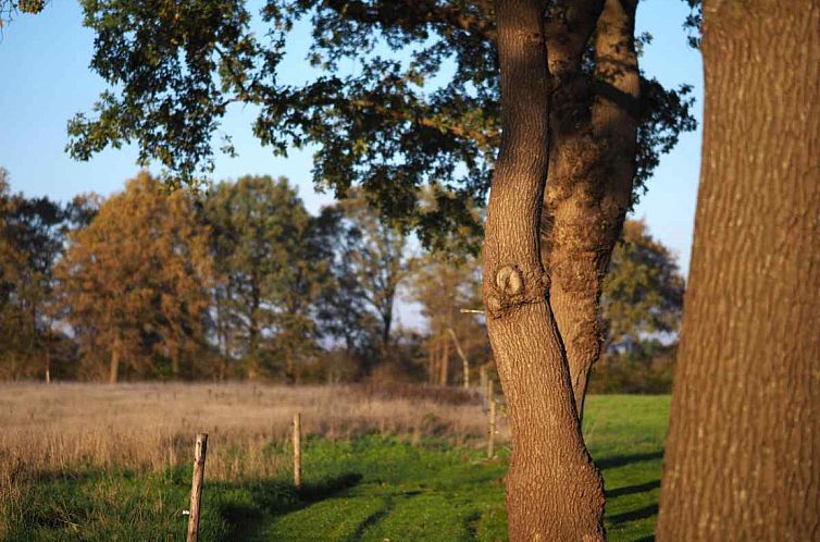 Prachtig gelegen 10 persoons vakantieboerderij in Uffelte -