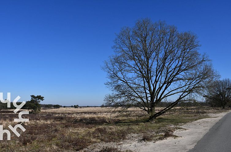 Mooie 12 persoons groepsaccommodatie in Drenthe