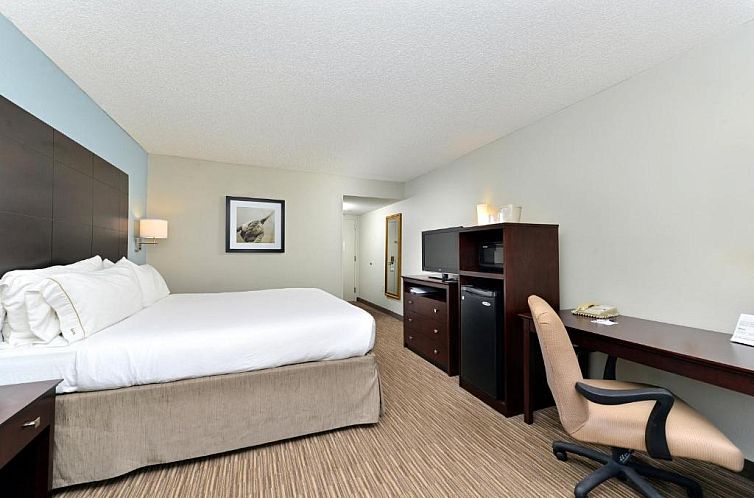 Holiday Inn Express Hotel & Suites Tampa-Rocky Point Island,