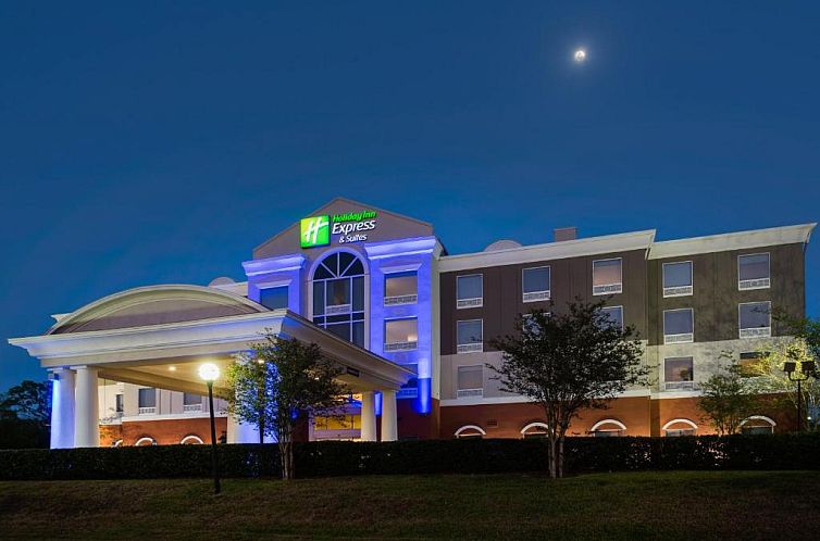 Holiday Inn Express Hotel & Suites Tampa-Fairgrounds-Casino,