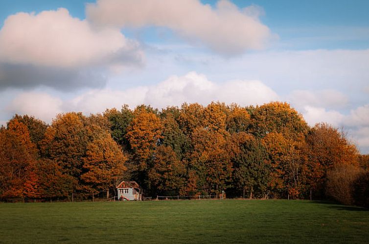 Huisje in Frederiksoord