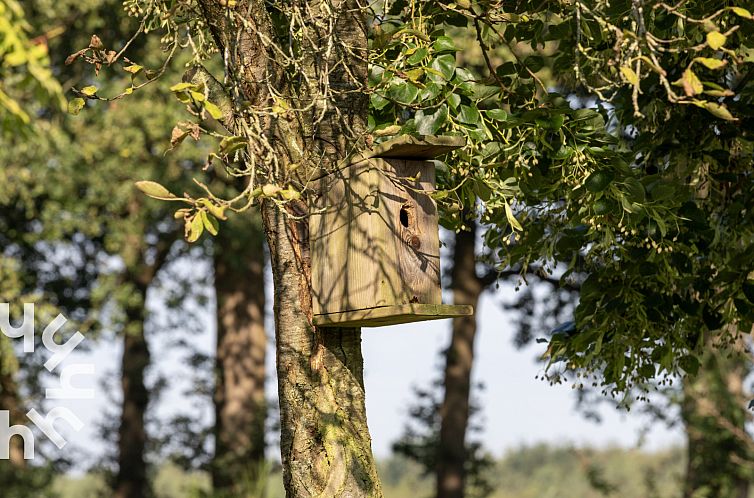 Comfortabel boerderij in Drenthe voor 6 personen