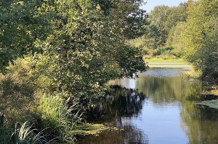 Vakantiehuisje in Oude Willem