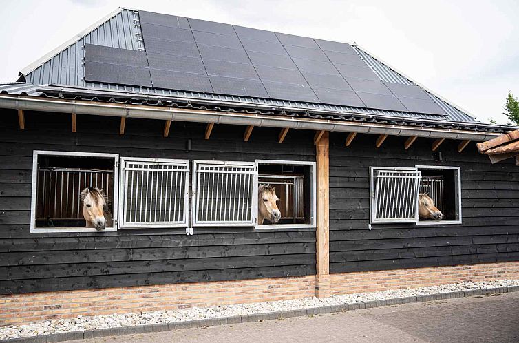 14 persoons groepsaccommodatie met 6 badkamers in Oude