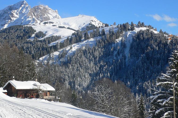 Appartement Les Aiguilles d'Argent 10