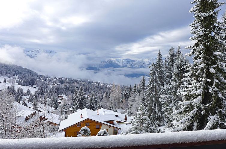 Appartement Savoie 1