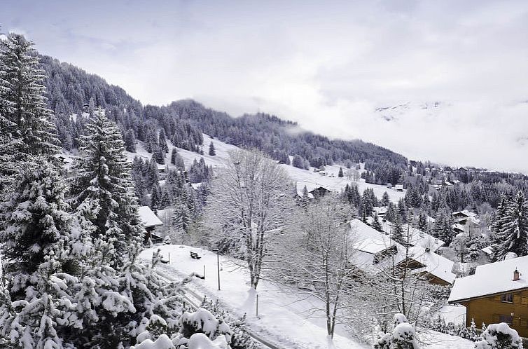 Appartement Savoie 1