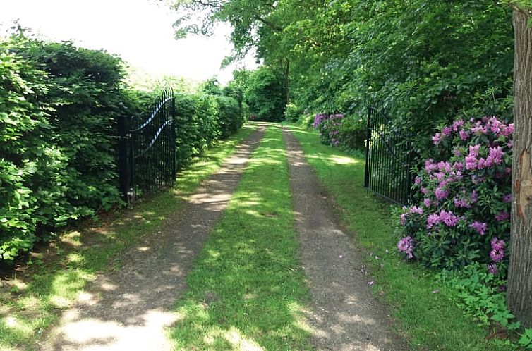 Vakantiehuisje in Hollandscheveld