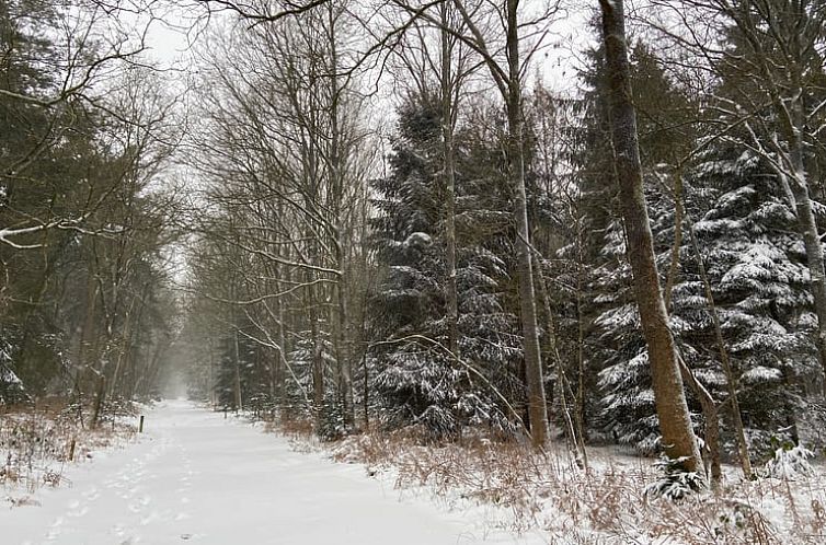 Vakantiehuisje in Hollandscheveld