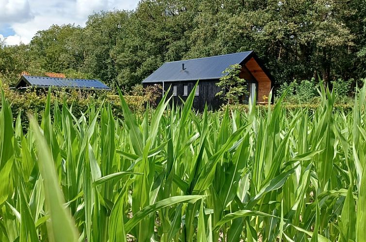 Huisje in Hollandscheveld